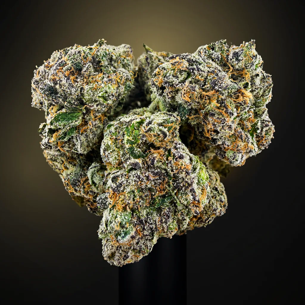 Razzberry Biscotti -7G - Image 1