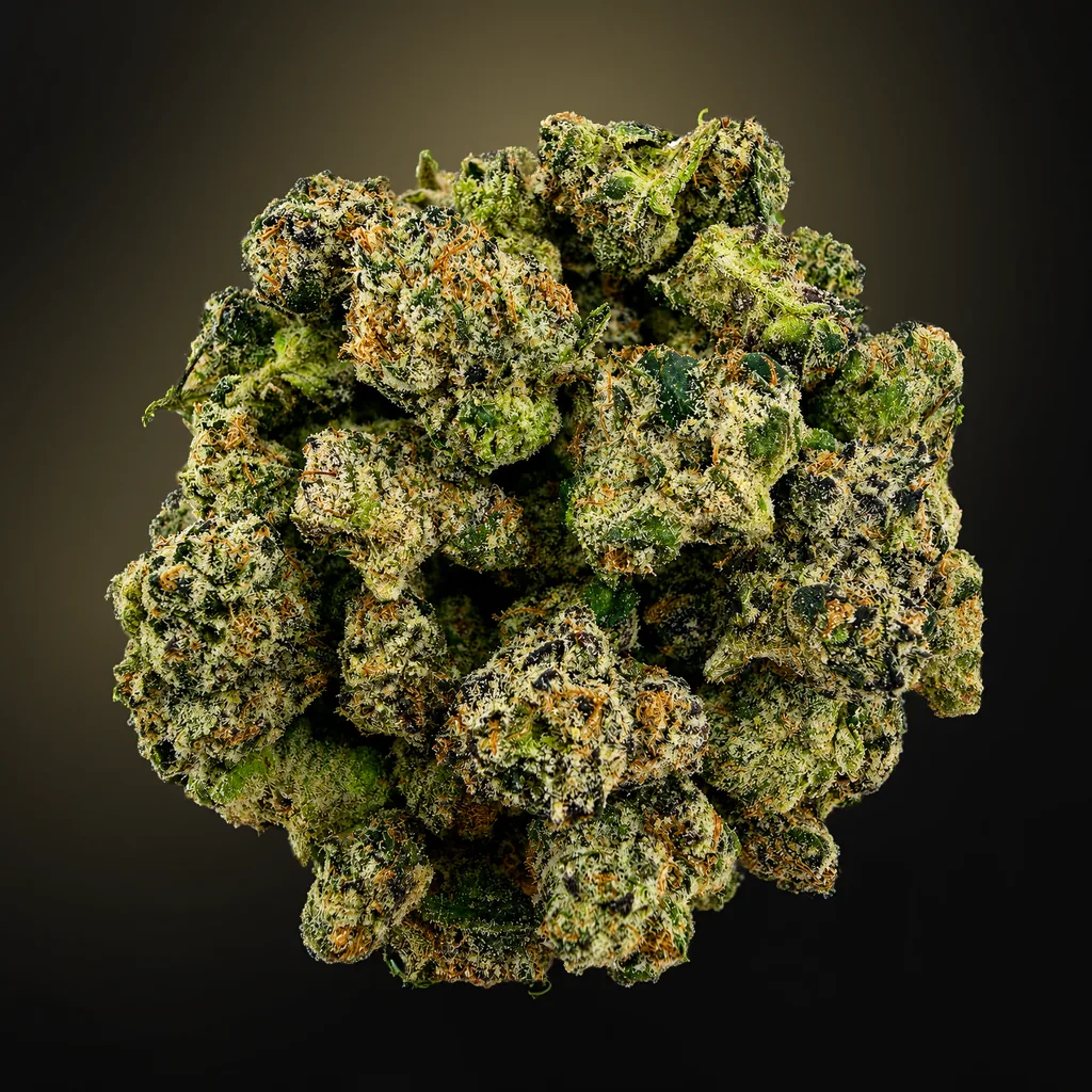 Curelato Small/ Medium -14G