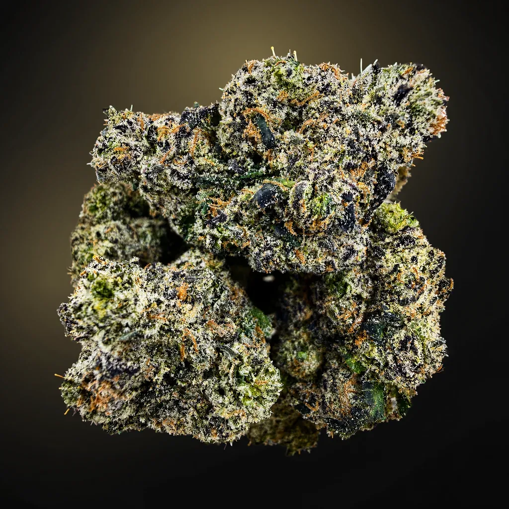 Sundae Church -7G