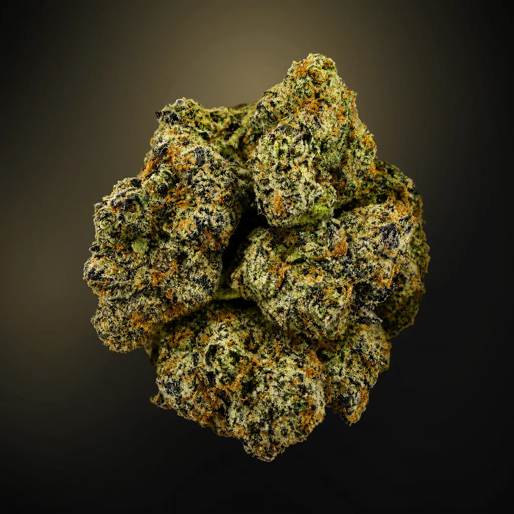 Gelato G41 -7G - Image 1