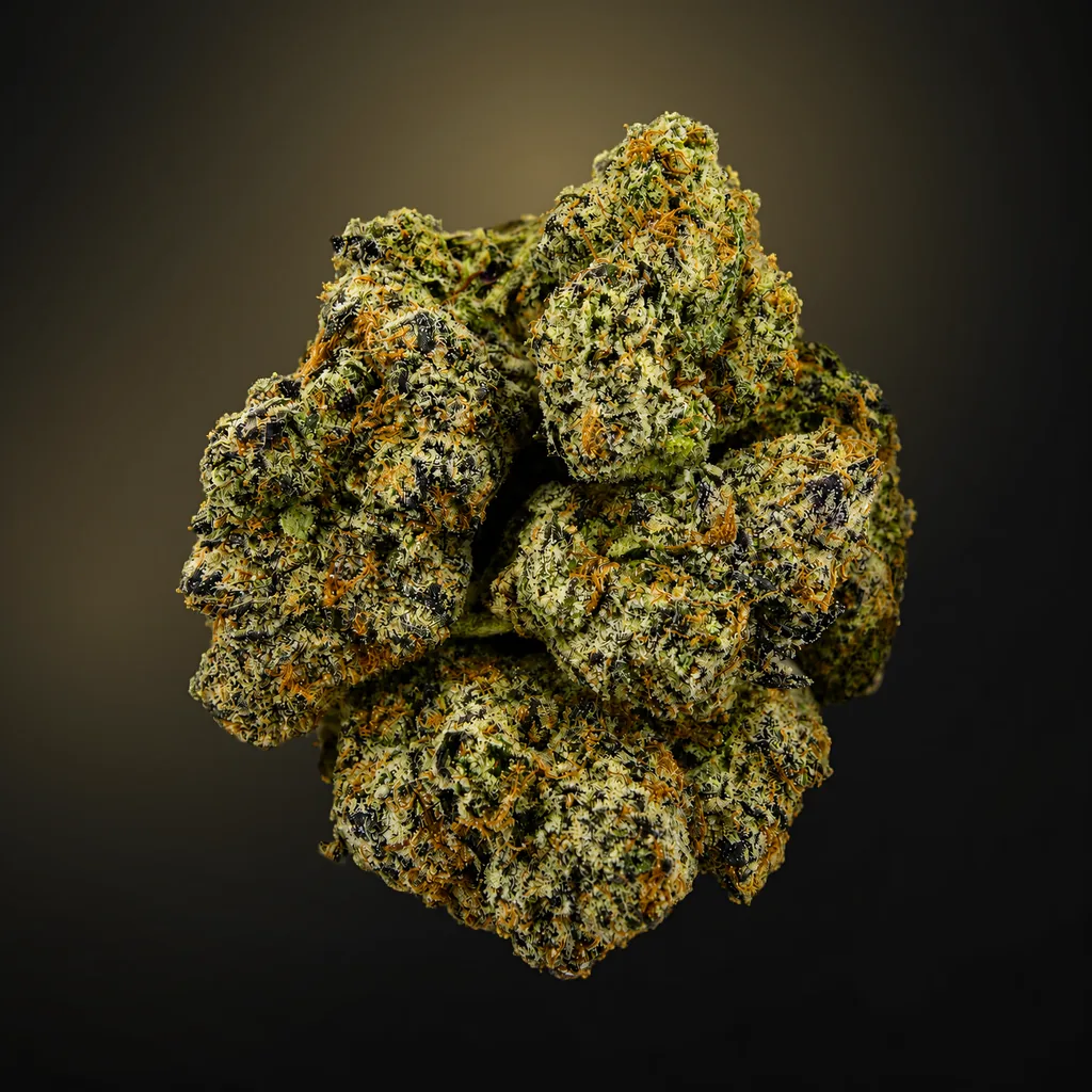 Gelato G41 -14G - Image 1