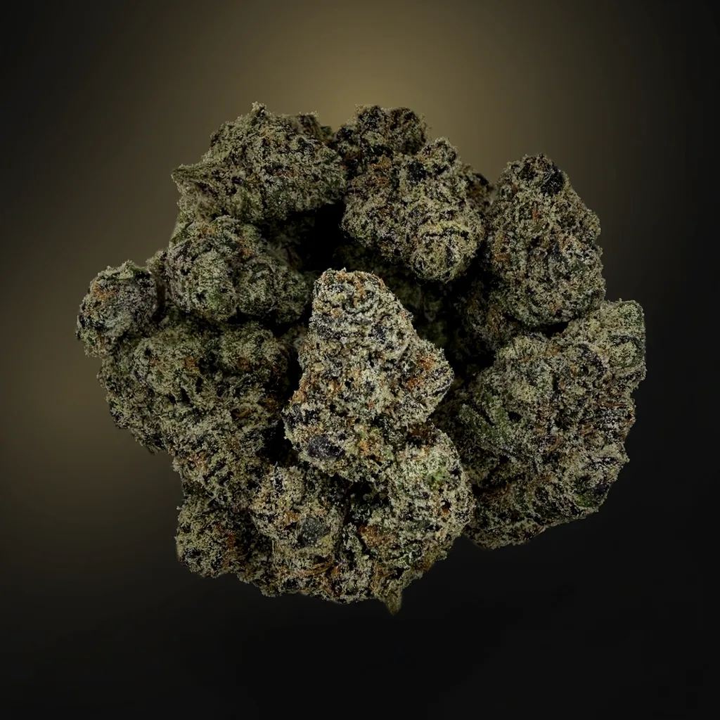 Ursula (DOJA) | 14g - Image 1
