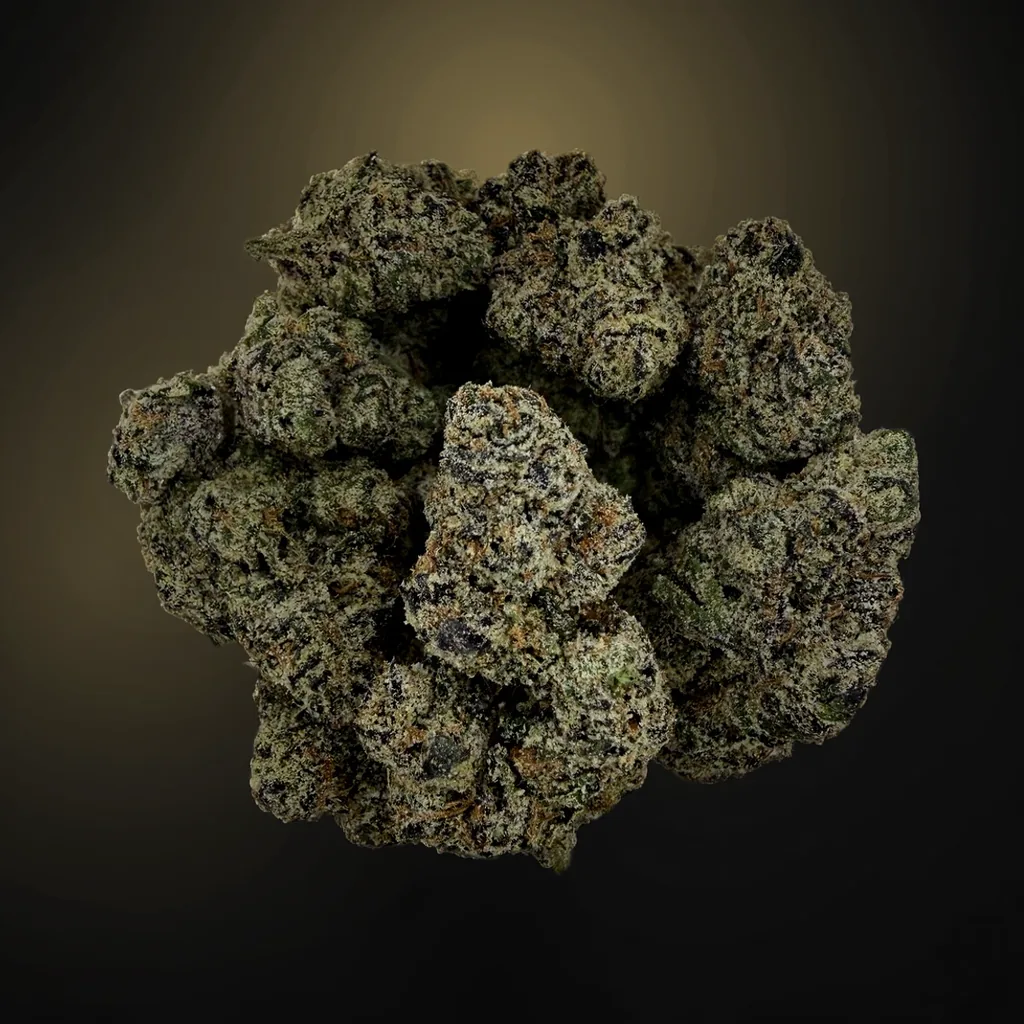 Ursula (DOJA) | 7g - Image 1