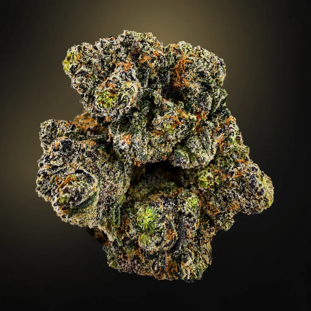 Tropical Blast - 14G - Image 1