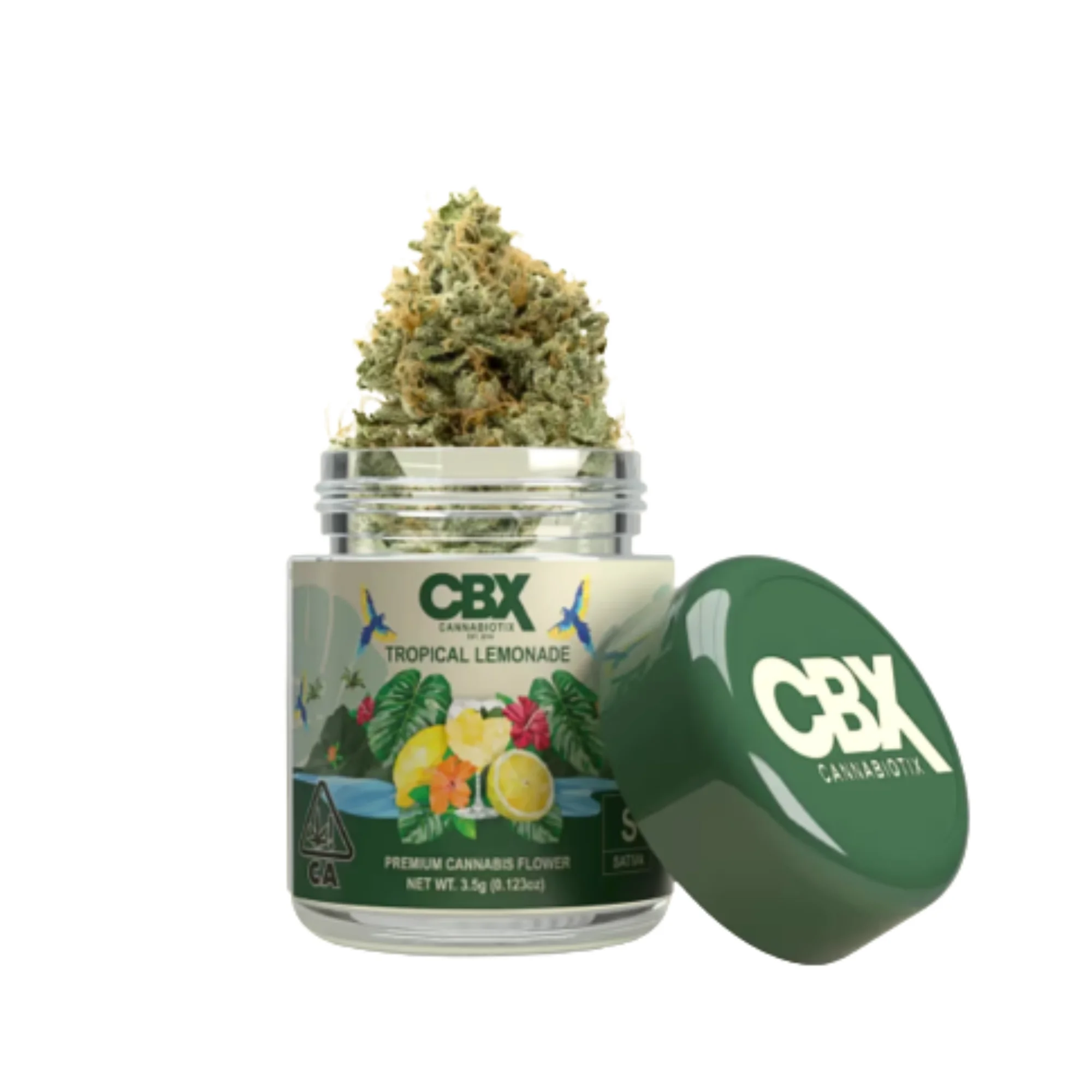 CBX Tropical Lemonade - 3.5G - Premium Cannabis Flower - Image 1