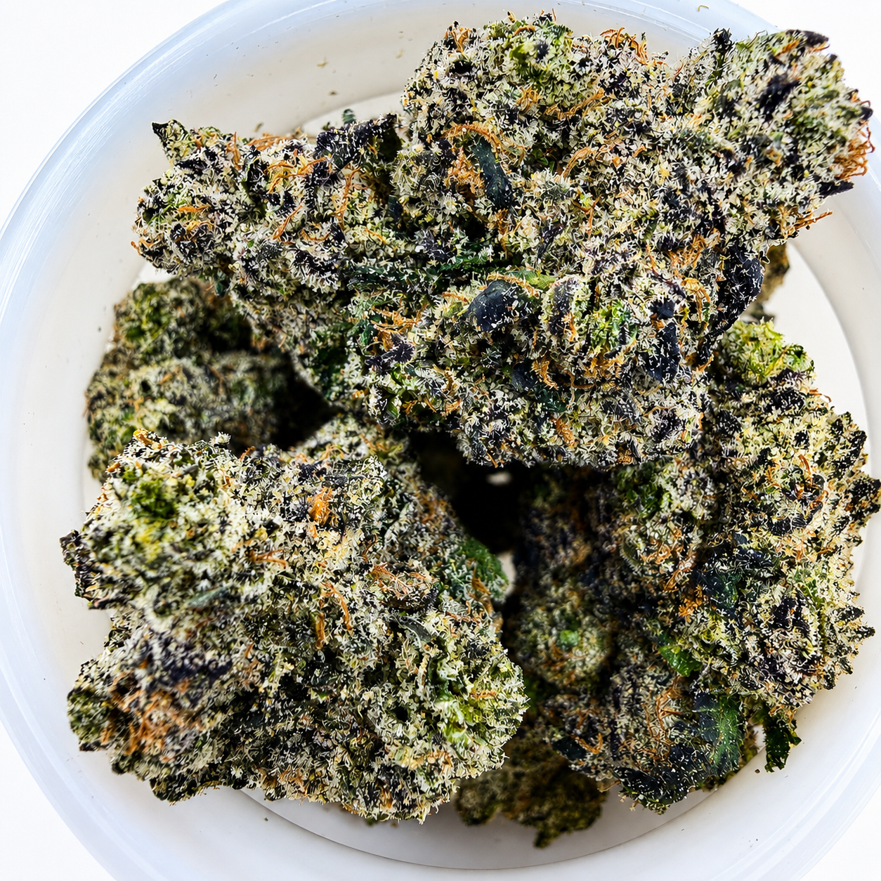Sundae Church -7G