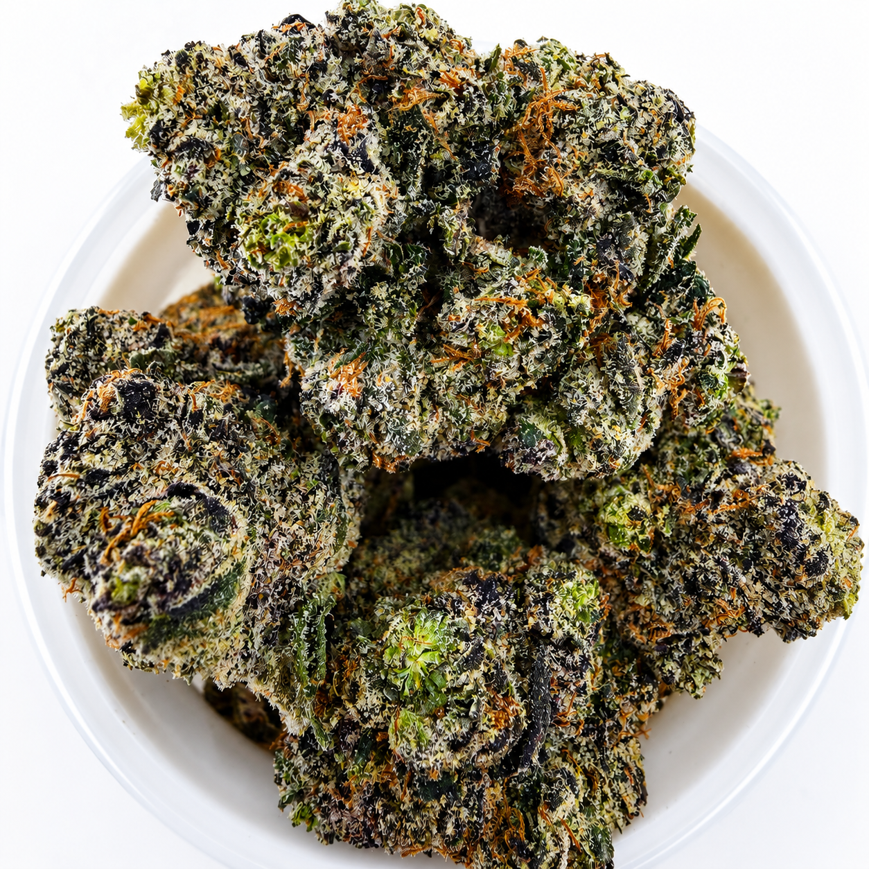 Tropical Blast -7G