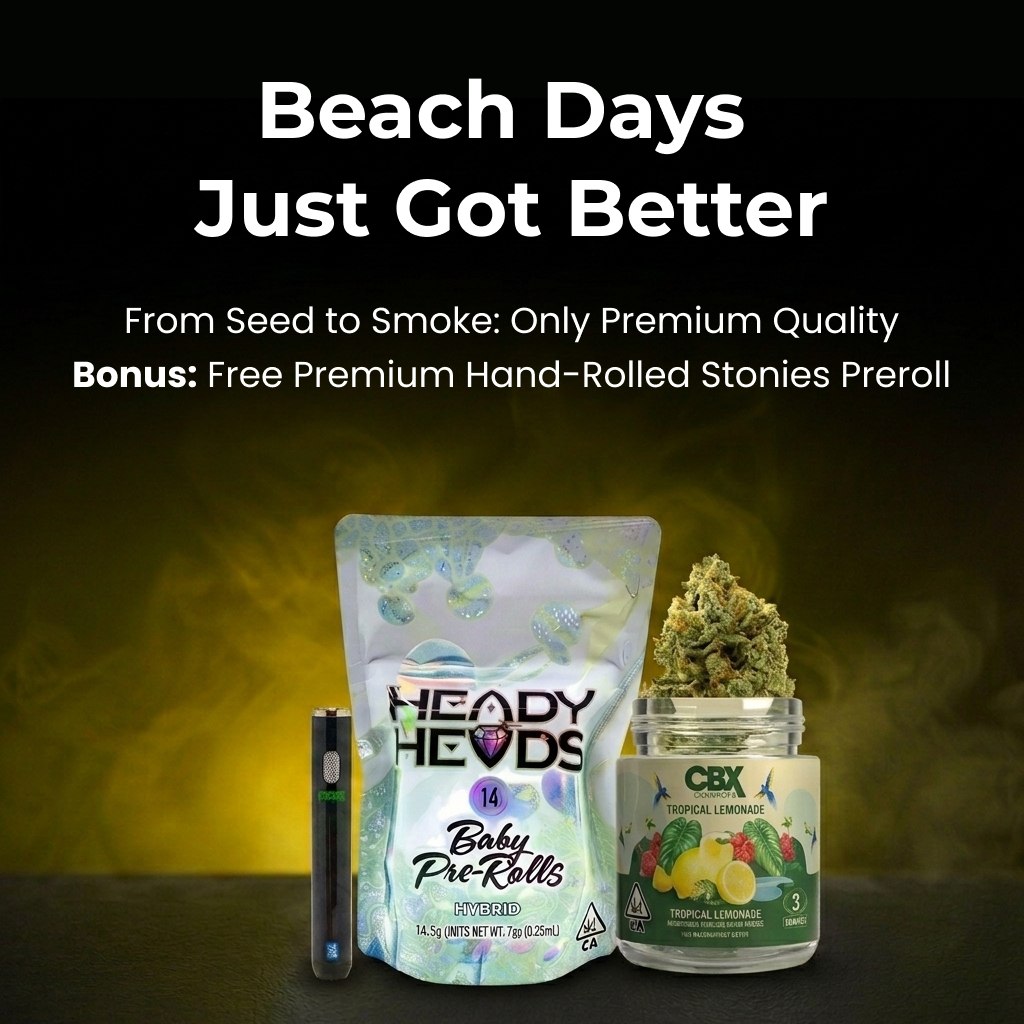 Beach Days Just Got Better — From seed to smoke, only premium quality