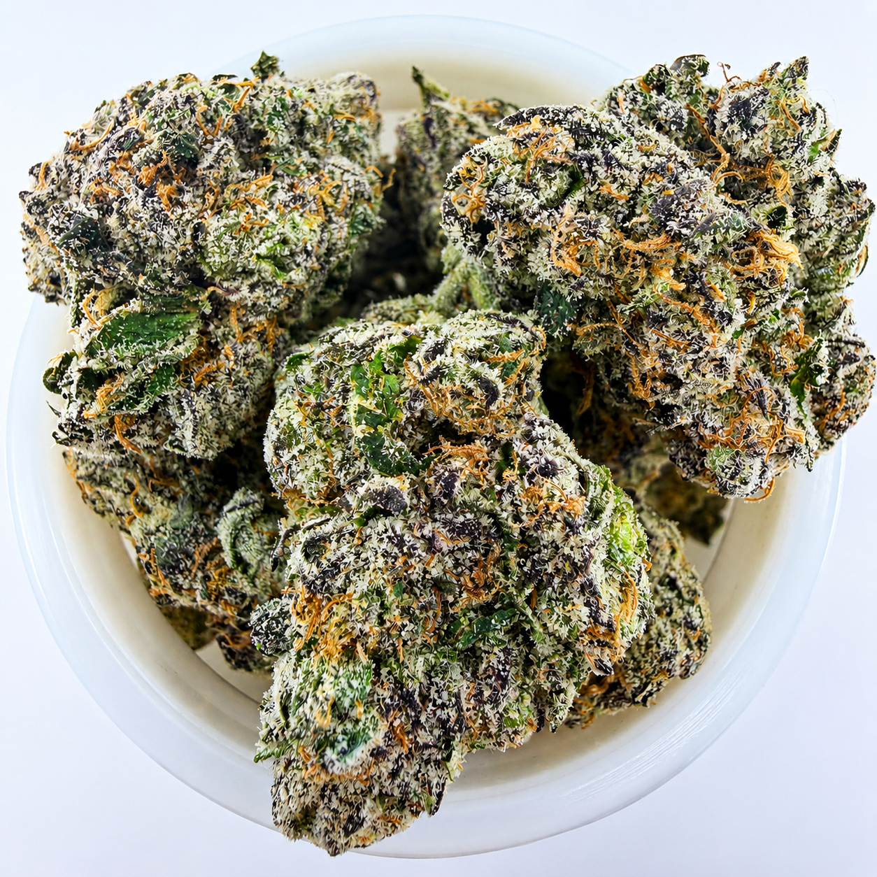 Razzberry Biscotti -14G